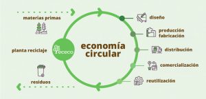 Economía Circular; Economía circular en empresas