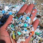 Microplásticos: su impacto en la degradación del medio ambiente