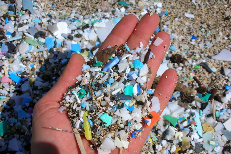 doce puerta a tiempo Microplásticos: su impacto en la degradación del medio ambiente